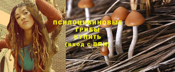 дживик Ростов