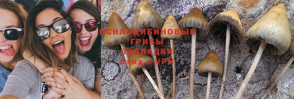 дживик Ростов