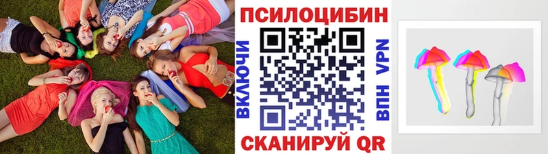 купить закладку  Енисейск  Псилоцибиновые грибы MAGIC MUSHROOMS 
